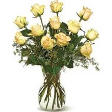 Delicate roses (Curated composition)